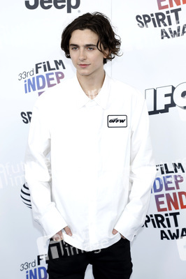 Film Independent Spirit Awards 2018 in Santa Monica