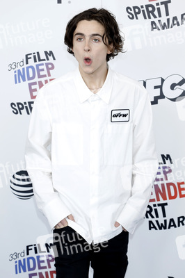 Film Independent Spirit Awards 2018 in Santa Monica