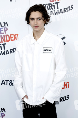 Film Independent Spirit Awards 2018 in Santa Monica