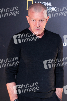 Photocall 'Genius: Picasso' in Madrid