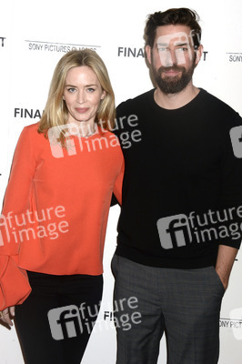 Filmscreening 'Final Portrait' in New York
