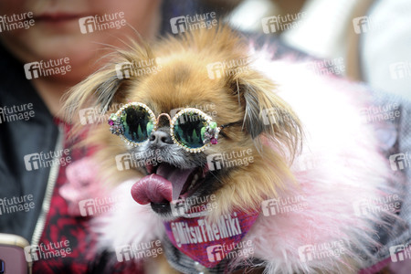 Easter Parade 2018 in New York