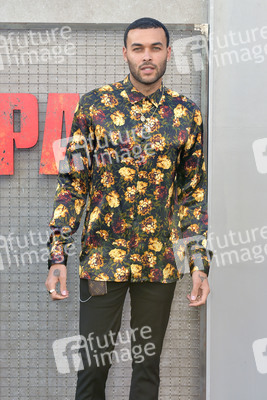 Filmpremiere 'Rampage - Big meets Bigger' in Los Angeles