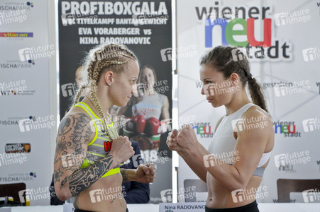 Pressekonferenz zum WBC-Titelkampft Eva Voraberger vs Nina Radovanovic in Wiener Neustadt