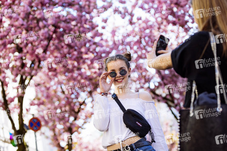 Impressionen von der Kirschblüte 2018 in Bonn