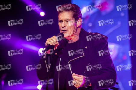 Konzert von David Hasselhoff in Lingen