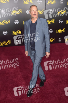 Filmpremiere 'Solo: A Star Wars Story' in Los Angeles