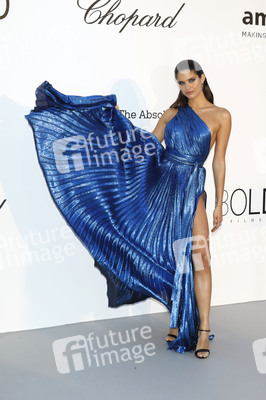 amfAR's Cinema Against Aids Gala, Cannes Film Festival 2018