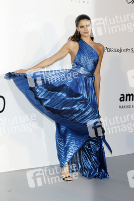 amfAR's Cinema Against Aids Gala, Cannes Film Festival 2018