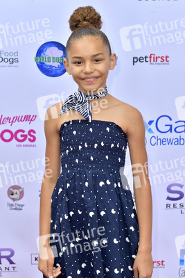 3. World Dog Day in West Hollywood