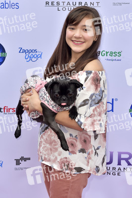 3. World Dog Day in West Hollywood
