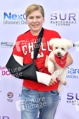 3. World Dog Day in West Hollywood