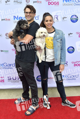 3. World Dog Day in West Hollywood