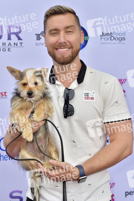 3. World Dog Day in West Hollywood