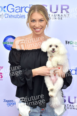 3. World Dog Day in West Hollywood