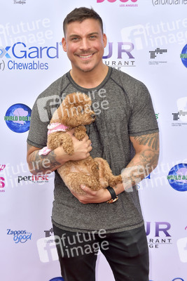 3. World Dog Day in West Hollywood