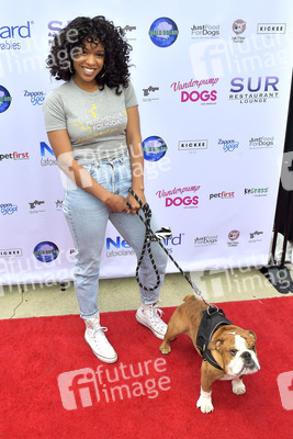 3. World Dog Day in West Hollywood