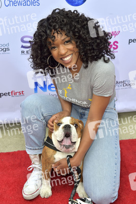 3. World Dog Day in West Hollywood