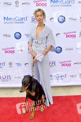 3. World Dog Day in West Hollywood