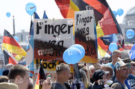 AfD Demo 'Zukunft Deutschland' in Berlin