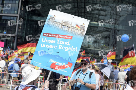 AfD Demo 'Zukunft Deutschland' in Berlin