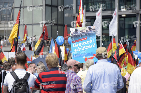 AfD Demo 'Zukunft Deutschland' in Berlin