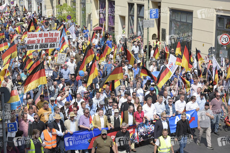 AfD Demo 'Zukunft Deutschland' in Berlin
