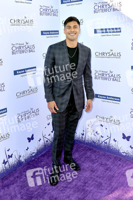 17. Chrysalis Butterfly Ball in Los Angeles