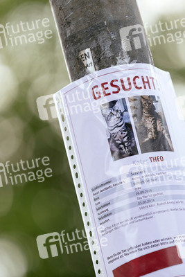 Symbofoto entlaufenes Haustier