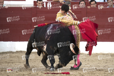 Stierkamp in Torrejón de Ardoz