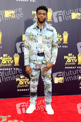 MTV Movie & TV Awards 2018 in Santa Monica