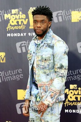 MTV Movie & TV Awards 2018 in Santa Monica