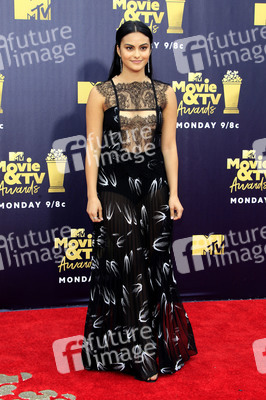 MTV Movie & TV Awards 2018 in Santa Monica