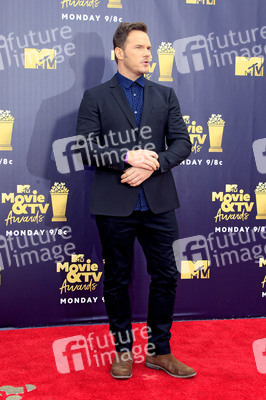 MTV Movie & TV Awards 2018 in Santa Monica