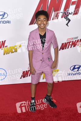 Filmpremiere 'Ant-Man and The Wasp' in Los Angeles