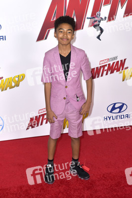 Filmpremiere 'Ant-Man and The Wasp' in Los Angeles