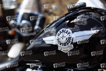 Symbolfoto Harley Davidson