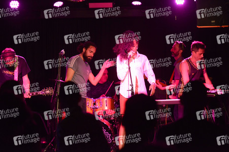 Konzert von The Hempolics in Hannover