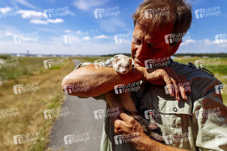 Symbolfoto Frettchenjagd