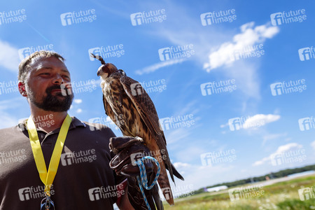 Symbolfoto Vogelvergrämung