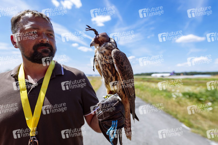 Symbolfoto Vogelvergrämung