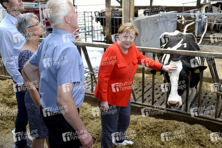 Angela Merkel besucht einen Milchbauernhof in Nienborstel