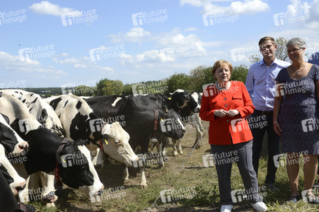 Angela Merkel besucht einen Milchbauernhof in Nienborstel