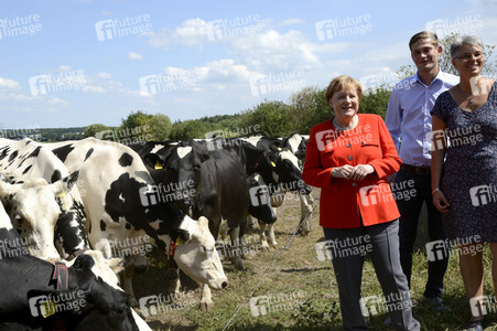 Angela Merkel besucht einen Milchbauernhof in Nienborstel