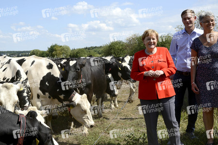 Angela Merkel besucht einen Milchbauernhof in Nienborstel