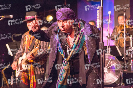 Konzert von Little Steven & The Disciples of Soul in Hamburg