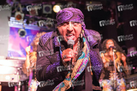 Konzert von Little Steven & The Disciples of Soul in Hamburg