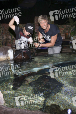 Fototermin Großstadtdschungel im SEA LIFE Berlin