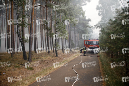 Waldbrände in Potsdam