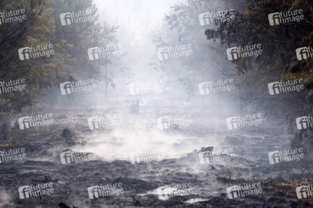 Waldbrandbekämpfung bei Treuenbrietzen